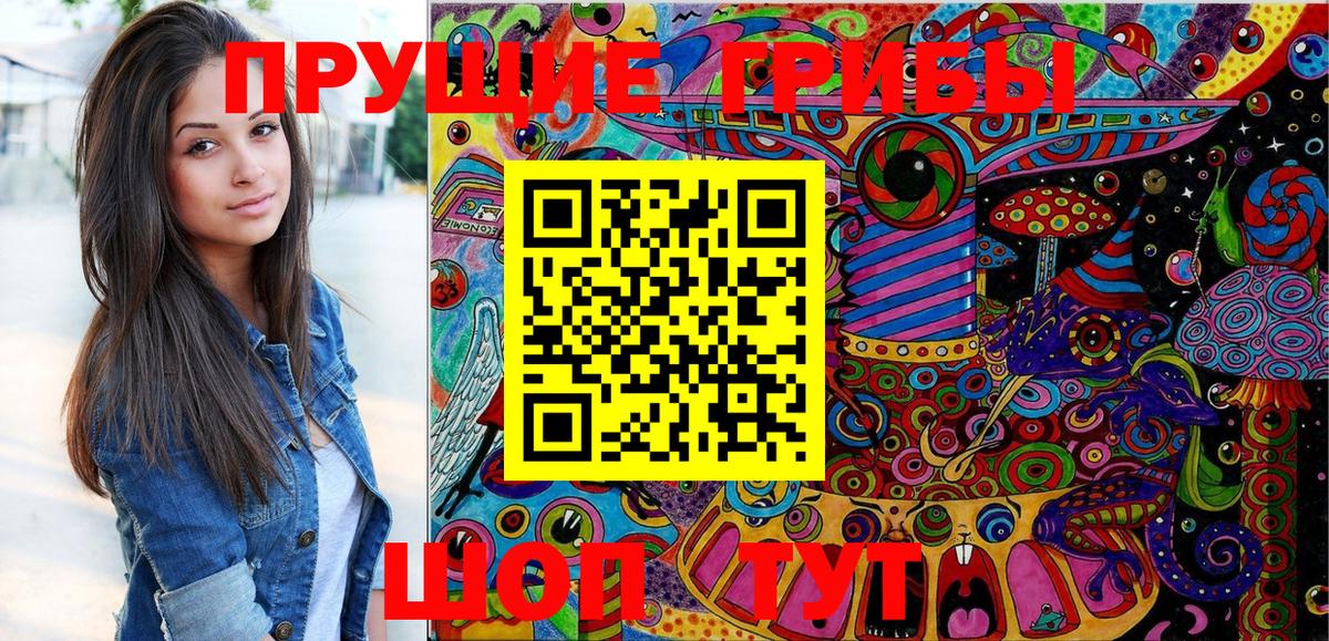 Псилоцибиновые грибы Cubensis  Вход с VPN  Дивногорск 