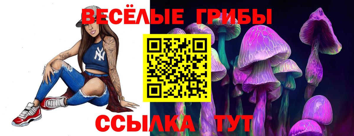 Галлюциногенные грибы Cubensis Дивногорск